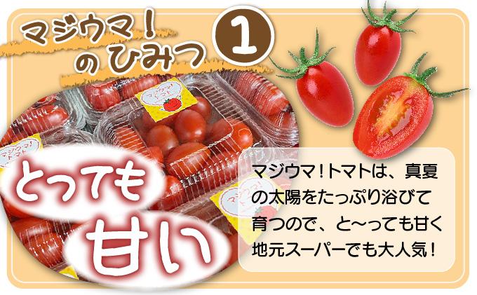 【2026年先行予約】北海道 伊達 岡本園芸 ミニトマト 高糖度 約4kg【マジウマ！トマト】