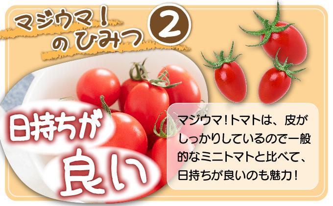 ã2026幎å
è¡äºçŽãåæµ·é äŒé 岡æ¬åèž ããããã é«ç³åºŠ çŽ2kgãããžãŠãïŒãããã