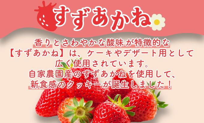 伊達産すずあかねから生まれた【森のおくりもの】ストロベリー・ショコラクッキー 20個