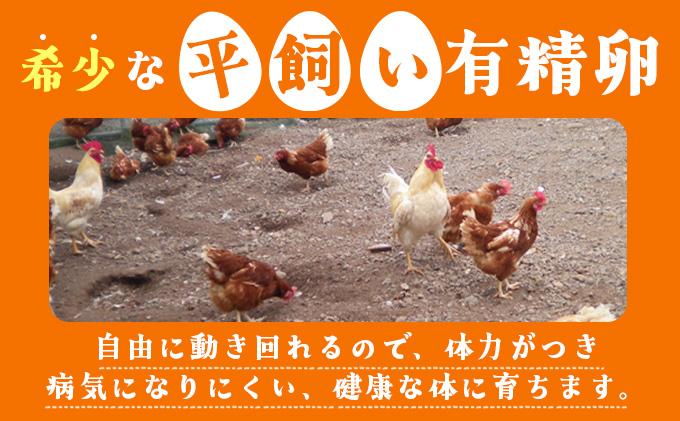 北海道 たまごの心 40個 Lサイズ 太陽の園 平飼たまご 有精卵 たまご 卵 生たまご 鶏卵 北海道産 鶏の卵 ポリスブラウン 食材 卵かけごはん TKG オムレツ オムライス タンパク質 ゆで卵 よく使う食材 万能食材 【農福連携】