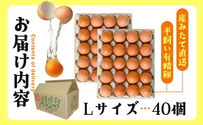 北海道 たまごの心 40個 Lサイズ 太陽の園 平飼たまご 有精卵 たまご 卵 生たまご 鶏卵 北海道産 鶏の卵 ポリスブラウン 食材 卵かけごはん TKG オムレツ オムライス タンパク質 ゆで卵 よく使う食材 万能食材 【農福連携】