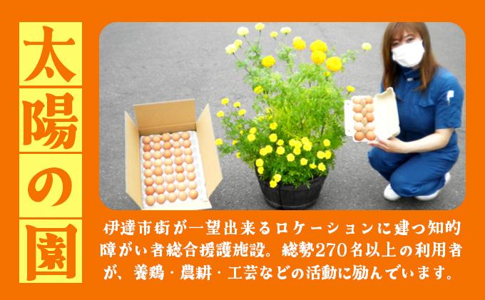 北海道 たまごの心 40個 Lサイズ 太陽の園 平飼たまご 有精卵 たまご 卵 生たまご 鶏卵 北海道産 鶏の卵 ポリスブラウン 食材 卵かけごはん TKG オムレツ オムライス タンパク質 ゆで卵 よく使う食材 万能食材 【農福連携】