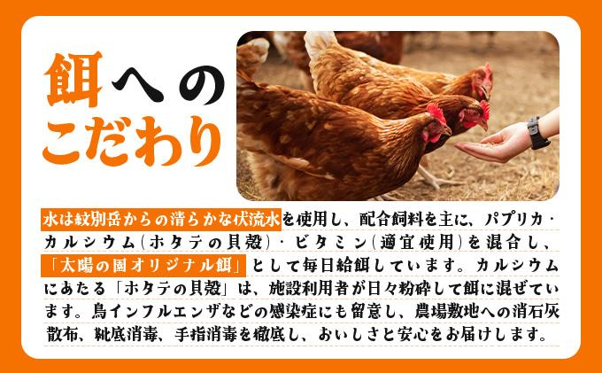 北海道 たまごの心 40個 Lサイズ 太陽の園 平飼たまご 有精卵 たまご 卵 生たまご 鶏卵 北海道産 鶏の卵 ポリスブラウン 食材 卵かけごはん TKG オムレツ オムライス タンパク質 ゆで卵 よく使う食材 万能食材 【農福連携】