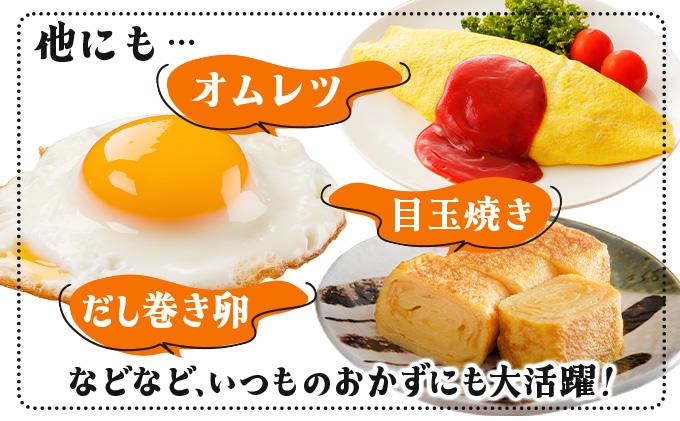 北海道 たまごの心 40個 Lサイズ 太陽の園 平飼たまご 有精卵 たまご 卵 生たまご 鶏卵 北海道産 鶏の卵 ポリスブラウン 食材 卵かけごはん TKG オムレツ オムライス タンパク質 ゆで卵 よく使う食材 万能食材 【農福連携】