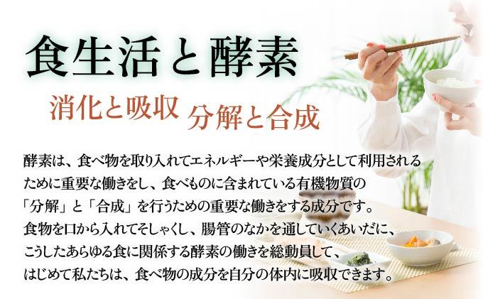 定期便 3ヵ月連続 全3回 スーパーオータカ 1200ml 大高酵素 健康 飲料 原液 植物エキス醗酵飲料 美容 栄養 野菜 北海道 果物 植物 植物エキス 酵素 熟成 ファスティング 特許 保存 非常食 代用食 ダイエット 置き換え 送料無料 伊達市
