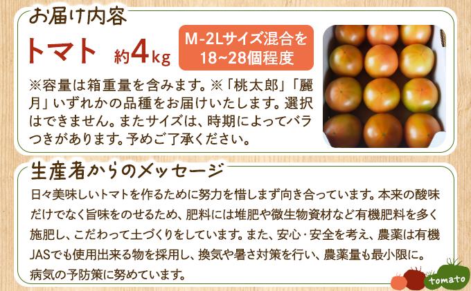 ◆2026年7月から順次出荷◆ farmユメソラ 大玉 トマト 約4kg【famy-001】