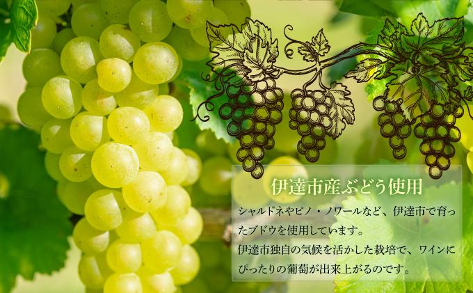 åæµ·é äŒéã¹ããŒã¯ãªã³ã°ã¯ã€ã³ 750ml 1æ¬ 2024å¹Žç£ éå®éžé ã¹ããŒã¯ãªã³ã°ã¯ã€ã³ ã¯ã€ã³ è¡è ã¶ã©ã ãã㊠éžé ãŽã£ã³ããŒãž çœã¯ã€ã³ ãé
é
ã¢ã«ã³ãŒã« çºæ³¡é
ã·ã£ã«ãã ããã»ãã¯ãŒã« æ©é
