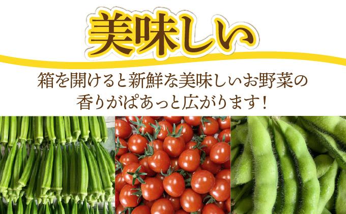 【2026年発送】 先行予約 新鮮採れたて！旬の伊達野菜セット（6～8種）【オンライン決済限定】55250703