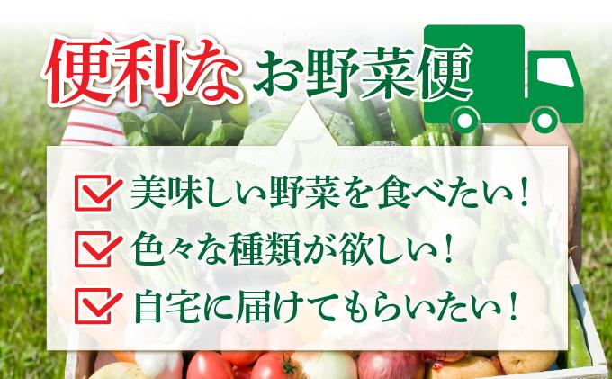 【2026年発送】 先行予約 新鮮採れたて！旬の伊達野菜セット（6～8種）【オンライン決済限定】55250703