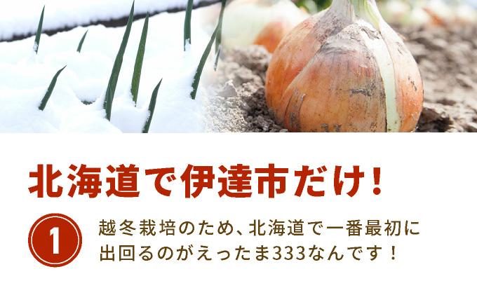 ※ チャリティー返礼品 ※ 伊達産【えったま333】の炒め玉ねぎ ソテードオニオン 200g×10袋（レトルト）