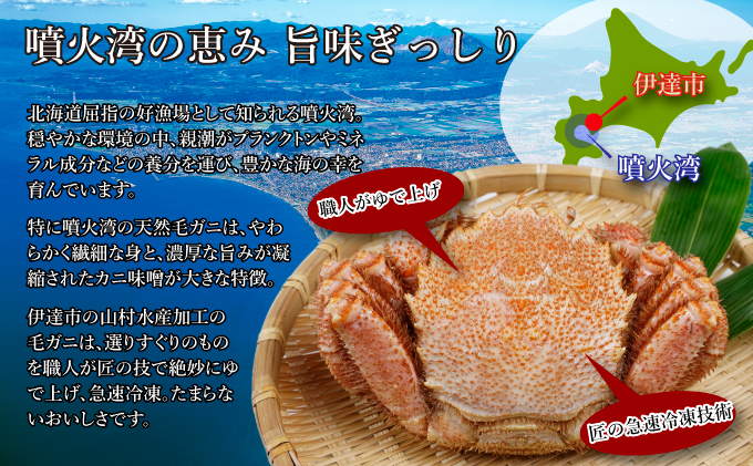 北海道産 ボイル 毛蟹 3杯 約1kg 蟹 カニ かに 毛ガニ 毛がに 噴火湾 魚介類 海の幸 海鮮 天然 職人 蟹味噌 丸ごと 蟹肉 蟹姿 産地直送 お取り寄せ 山村水産 送料無料