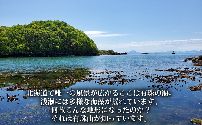 伊達おさんぽかふぇ「森と海さんぽ～ポロノットと有珠の海岸～」