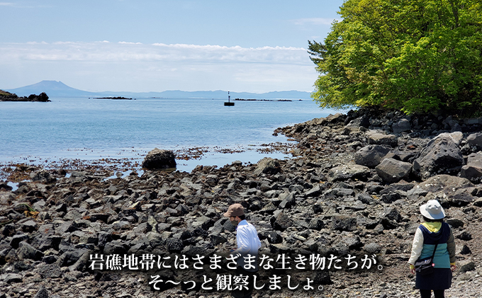 伊達おさんぽかふぇ「森と海さんぽ～ポロノットと有珠の海岸～」