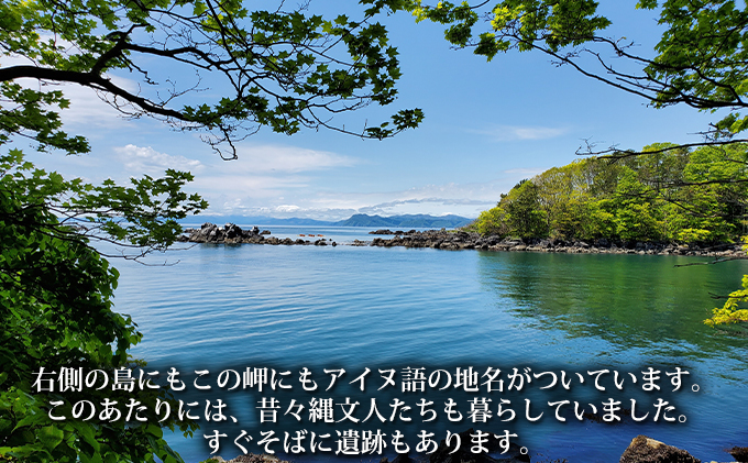 伊達おさんぽかふぇ「森と海さんぽ～ポロノットと有珠の海岸～」