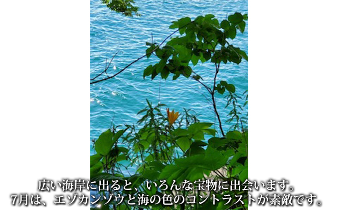 伊達おさんぽかふぇ「森と海さんぽ～ポロノットと有珠の海岸～」