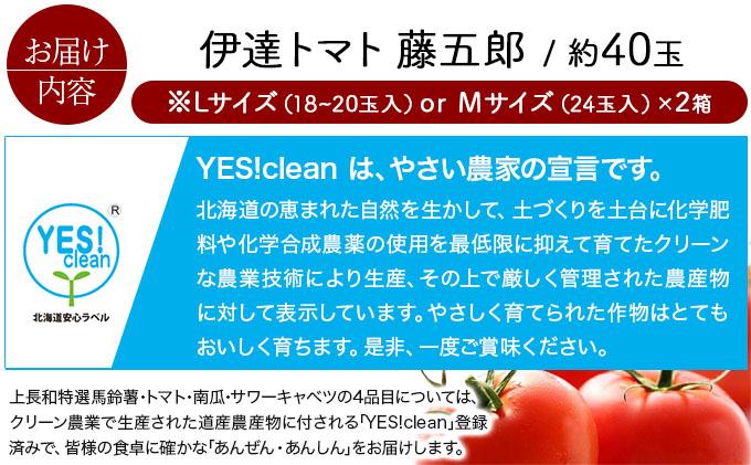 【2026年 発送 】 先行予約 北海道 伊達 トマト 藤五郎  約 40 玉 M ～ L サイズ とまと 新鮮 ジューシー 産地直送