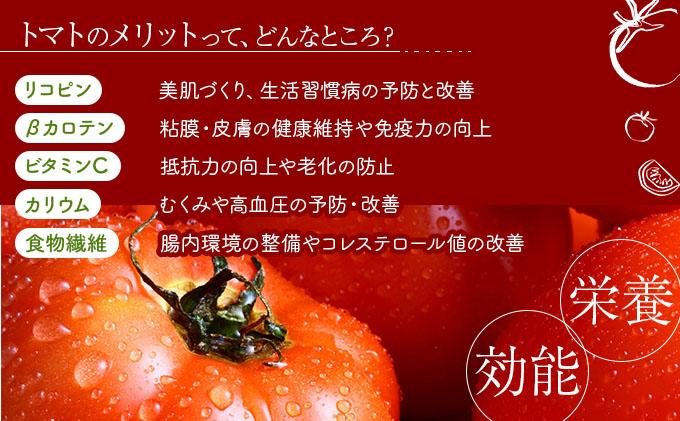 【2026年 発送 】 先行予約 北海道 伊達 トマト 藤五郎  約 40 玉 M ～ L サイズ とまと 新鮮 ジューシー 産地直送