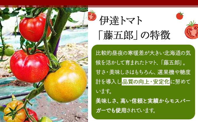 【2026年 発送 】 先行予約 北海道 伊達 トマト 藤五郎  約 40 玉 M ～ L サイズ とまと 新鮮 ジューシー 産地直送