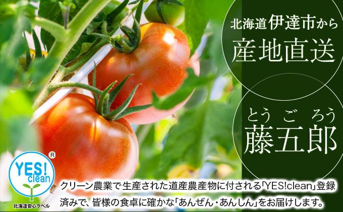 【2026年 発送 】 先行予約 北海道 伊達 トマト 藤五郎  約 40 玉 M ～ L サイズ とまと 新鮮 ジューシー 産地直送