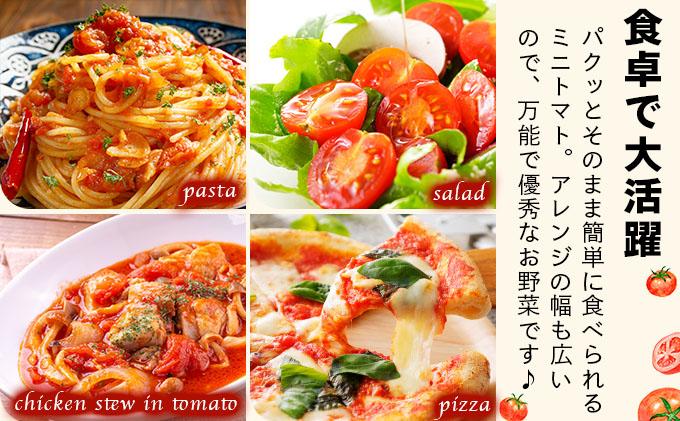 【2026年先行予約】北海道産 ミニトマト ネネ 約3kg フルーツトマト プチトマト 甘い 濃厚 彩り 鮮やか 希少 お中元 お歳暮 暑中見舞い 帰省土産 ご自宅用 産地直送 大滝農園 送料無料 北海道