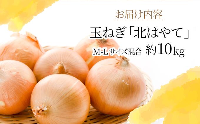 【 2026年 発送 】 先行予約 北海道 玉ねぎ 10kg M-L混合 北はやて【55250515】タマネギ たまねぎ 玉葱 玉ネギ オニオン 伊達野菜  野菜 新鮮 採れたて 産地直送 サラダ マリネ 肉じゃが オニオンスープ 木須農園 送料無料