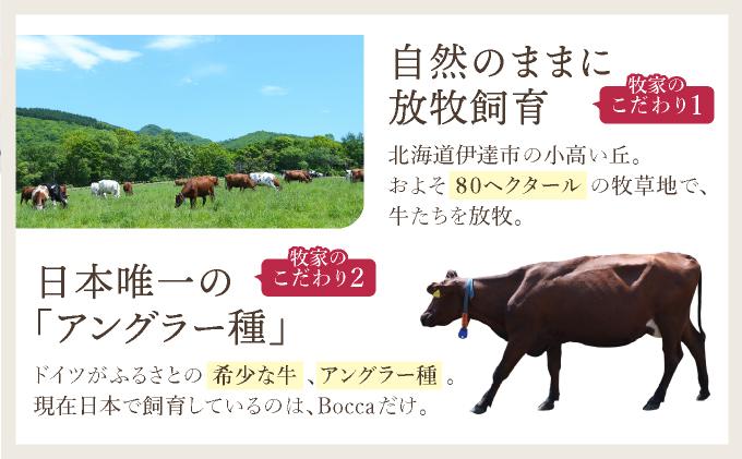 北海道 牧家 Bocca 飲むヨーグルト 2種 プレーン もも ベリー ラッシー 500g 各3本 計6本 ヨーグルト 生乳 ミルク 乳酸菌 桃 まろやか 濃厚 ギフト プレゼント 送料無料