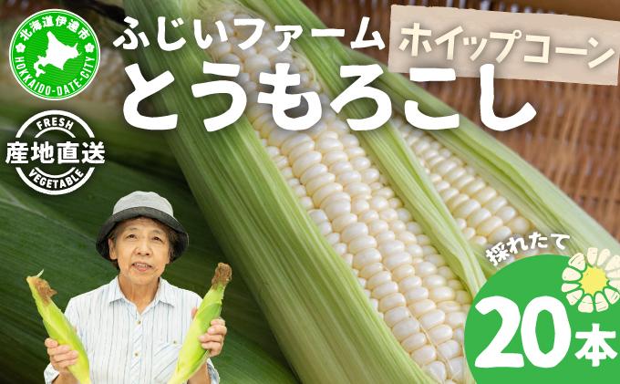 ＜先行予約＞北海道産 とうもろこし(ホイップコーン) Lサイズ 20本【55250485】ホワイト とうきび コーン スイートコーン 国産 野菜 農作物 人気 ふじいファーム 北海道