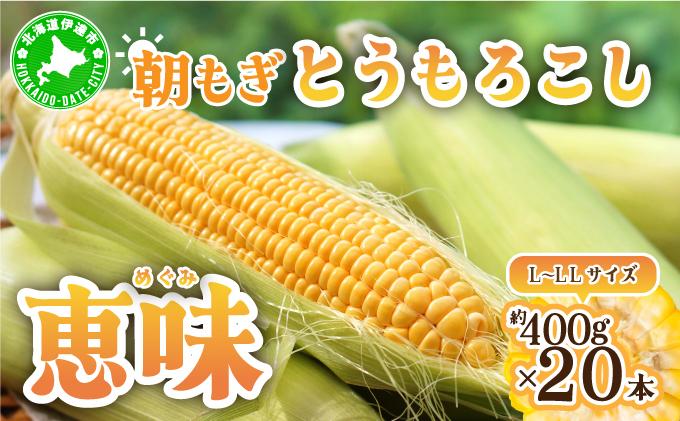 ïŒ2026幎å
è¡äºçŽïŒåæµ·éç£ æãã ãšããããã æµå³ L-LLãµã€ãº çŽ400gÃ20æ¬ ã¹ã€ãŒãã³ãŒã³ ãŽãŒã«ãã³ãŒã³ ããŠã¢ãã³ã· ãšããã³ ã³ãŒã³ æ¬ å®ç éè çã ãã〠ç£å°çŽé ãåãå¯ã åæµ·é éæç¡æ äŒé 55250482