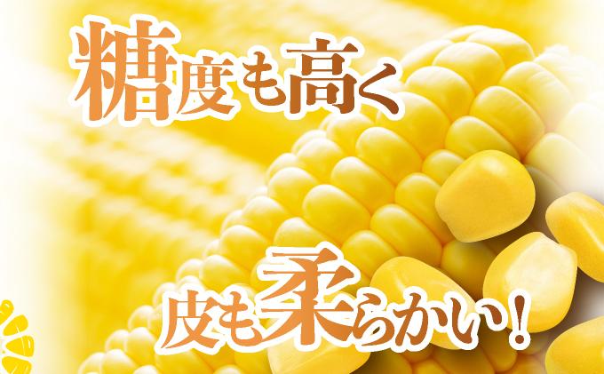 ïŒ2026幎å
è¡äºçŽïŒåæµ·éç£ æãã ãšããããã æµå³ L-LLãµã€ãº çŽ400gÃ20æ¬ ã¹ã€ãŒãã³ãŒã³ ãŽãŒã«ãã³ãŒã³ ããŠã¢ãã³ã· ãšããã³ ã³ãŒã³ æ¬ å®ç éè çã ãã〠ç£å°çŽé ãåãå¯ã åæµ·é éæç¡æ äŒé 55250482