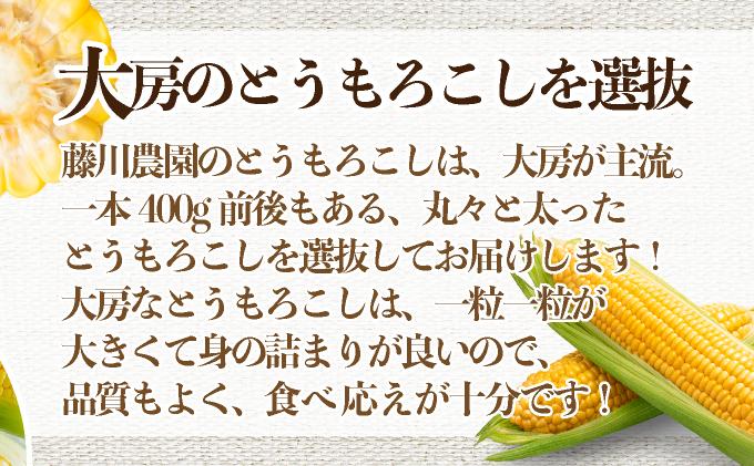 ïŒ2026幎å
è¡äºçŽïŒåæµ·éç£ æãã ãšããããã æµå³ L-LLãµã€ãº çŽ400gÃ20æ¬ ã¹ã€ãŒãã³ãŒã³ ãŽãŒã«ãã³ãŒã³ ããŠã¢ãã³ã· ãšããã³ ã³ãŒã³ æ¬ å®ç éè çã ãã〠ç£å°çŽé ãåãå¯ã åæµ·é éæç¡æ äŒé 55250482