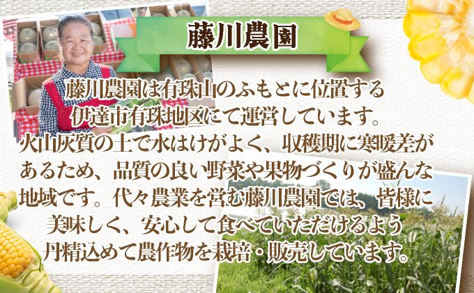 ïŒ2026幎å
è¡äºçŽïŒåæµ·éç£ æãã ãšããããã æµå³ L-LLãµã€ãº çŽ400gÃ20æ¬ ã¹ã€ãŒãã³ãŒã³ ãŽãŒã«ãã³ãŒã³ ããŠã¢ãã³ã· ãšããã³ ã³ãŒã³ æ¬ å®ç éè çã ãã〠ç£å°çŽé ãåãå¯ã åæµ·é éæç¡æ äŒé 55250482