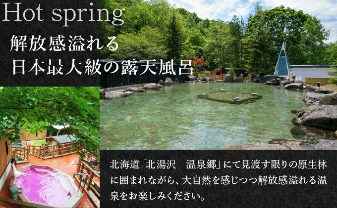 北海道 緑の風リゾート きたゆざわ 北湯沢 ペア 宿泊券 温泉 露天風呂 かけ流し 旅行 リゾート ホテル 旅館 宿泊 2食 食事付き 夕食 朝食 ビュッフェ 子連れ 家族 贈り物 ギフト チケット 旅行券  補助券 クーポン 伊達市
