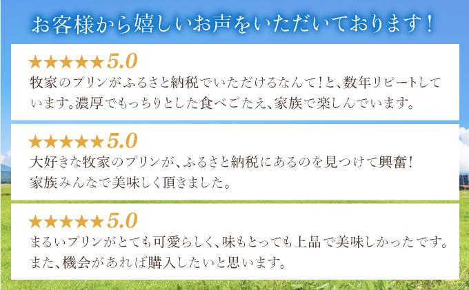 北海道 牧家 Bocca 白いプリン 4個入 3本 計12個 プリン カラメルソース カラメル もちもち 生乳 ミルク 卵不使用 風船プリン スイーツ デザート ギフト 送料無料