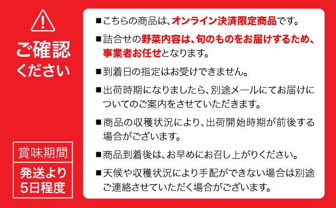 【2026年発送】【先行予約】 北海道 伊達市 産直・旬のおまかせ野菜詰合せ 9〜10種 dnk-001