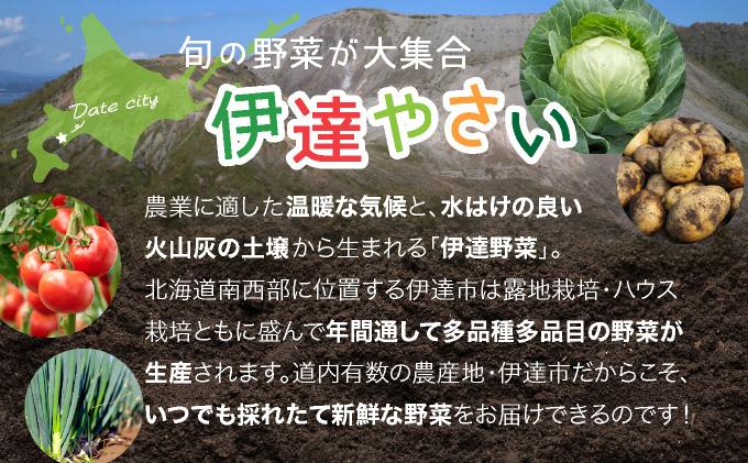 【2026年発送】【先行予約】 北海道 伊達市 産直・旬のおまかせ野菜詰合せ 9〜10種 dnk-001