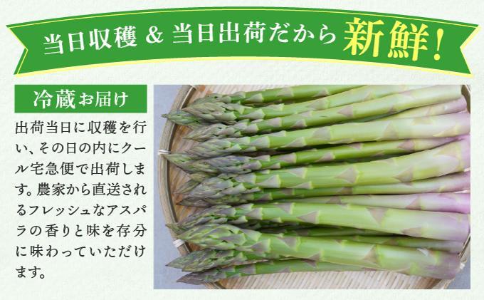 【2026年先行予約】太くてあまーい 北海道産 春芽 アスパラ (約2kg／LL中心＋3L・L混合) 先行予約 新鮮 採れたて直送 旬 野菜 あすぱら 農家直送 北海道