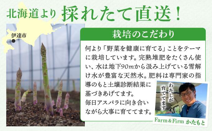 【2026年先行予約】太くてあまーい 北海道産 春芽 アスパラ (約2kg／LL中心＋3L・L混合) 先行予約 新鮮 採れたて直送 旬 野菜 あすぱら 農家直送 北海道