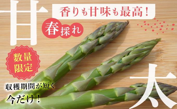 【2026年先行予約】太くてあまーい 北海道産 春芽 アスパラ (約2kg) 先行予約 新鮮 採れたて直送 旬 野菜 あすぱら 農家直送 北海道