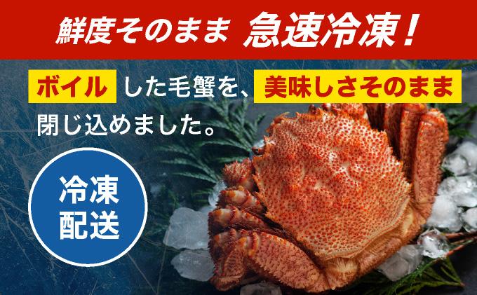 毛ガニ（姿身）Sサイズ 1尾 ogm-013