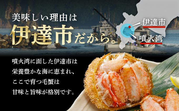 毛ガニ（姿身）Sサイズ 1尾 ogm-013