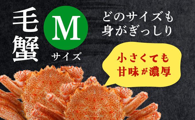 毛ガニ（姿身）Mサイズ 1尾 ogm-015