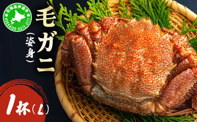 毛ガニ（姿身）Lサイズ 1尾 ogm-017