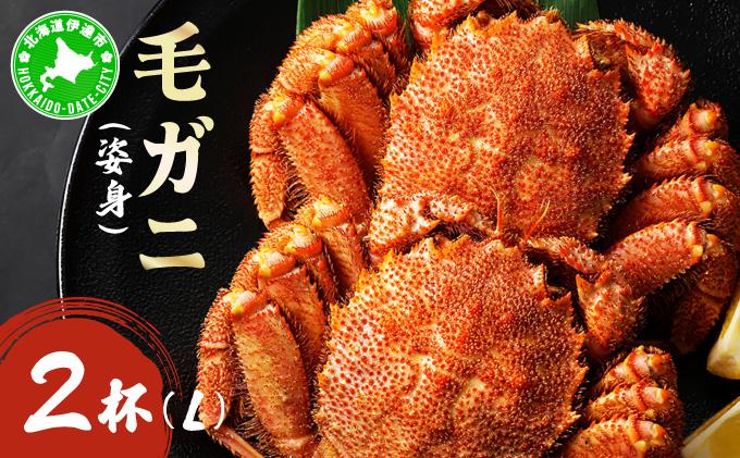 毛ガニ（姿身）Lサイズ 2尾 ogm-018