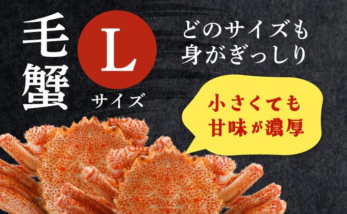 毛ガニ（姿身）Lサイズ 2尾 ogm-018