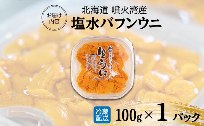 JALふるさと納税限定】極上 北海道 噴火湾産 塩水 バフンウニ 100g 1