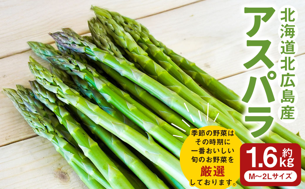 アスパラ 約1.6kg M～2L 【2026年4月下旬～6月下旬迄発送予定】