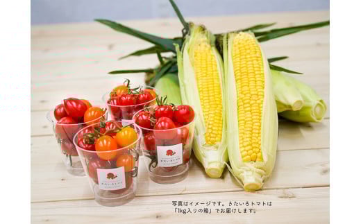 きたいろトマト （1.4kg）と 朝もぎトウキビ （14本）のセット 【2026年8月上旬～9月上旬発送迄予定】 トマト とうもろこし トウモロコシ 野菜 朝採れ オーガニック
