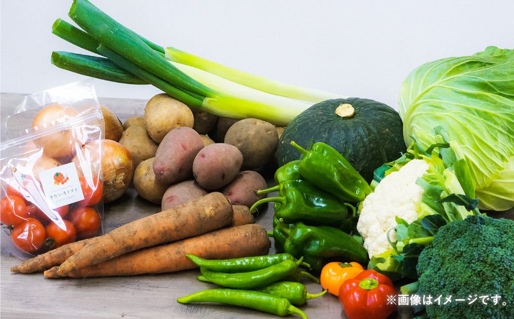 縲6繝カ譛亥ョ壽悄萓ソ縲 縺翫∪縺九○譌ャ驥手除繧サ繝繝 譌ャ 驥手除 繧サ繝繝 蛹玲オキ驕 蛹怜コ蟲カ蟶