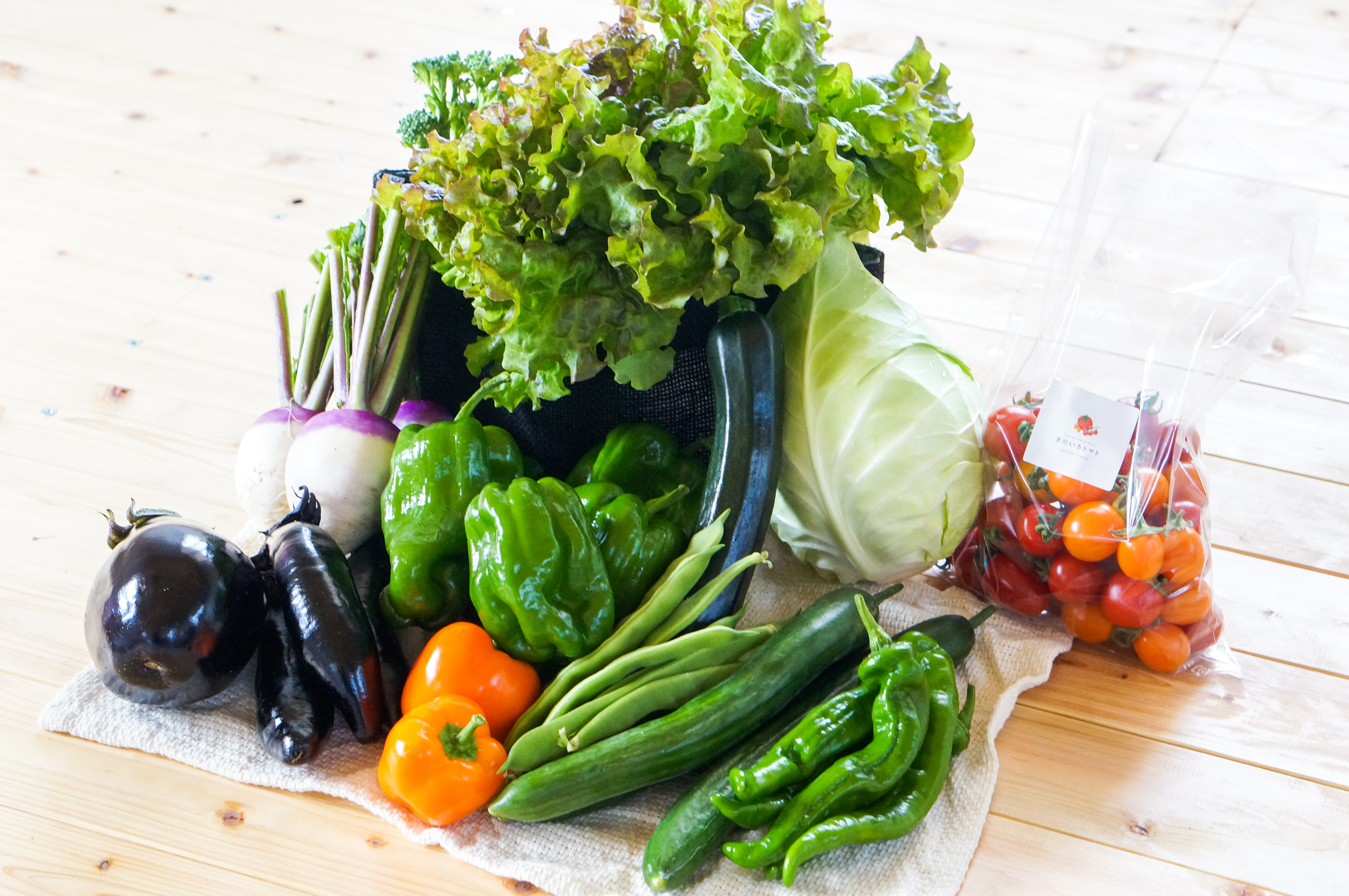 【有機JAS認定】【5ヶ月隔月定期便】 季節の野菜詰め合わせ 〜有機野菜セットA〜 10種類〜12種類 季節 野菜 野菜セット 有機野菜 有機 詰め合わせ セット