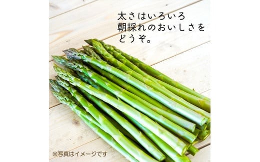 アスパラ 約2.4kg M-2L 【2026年4月下旬～6月下旬迄発送予定】アスパラ 野菜 やさい 旬 北海道